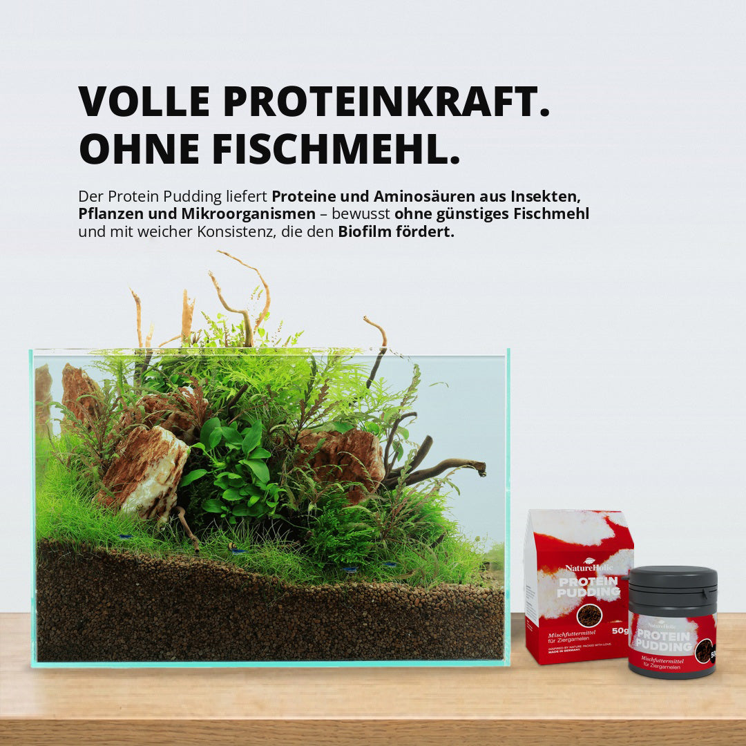 NatureHolic - Protein Pudding Garnelenfutter - 50ml
