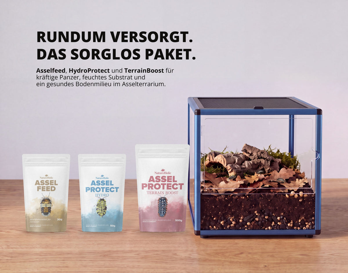 NatureHolic Assel 'Sorglos' Paket – Asselfeed, HydroProtect & TerrainBoost für Asseln im Terrarium