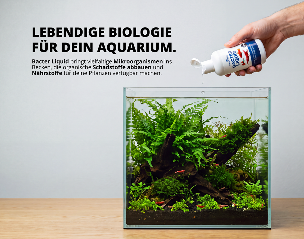 NatureHolic - Bacter Liquid - 125ml - Filterstarterbakterien