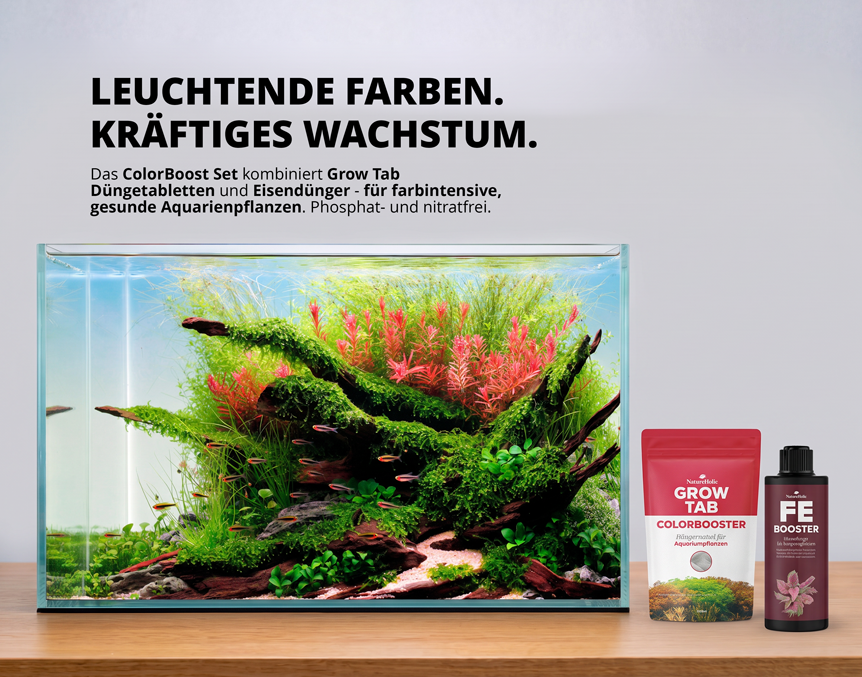 NatureHolic COLORBOOST Set - Aquarium Dünger