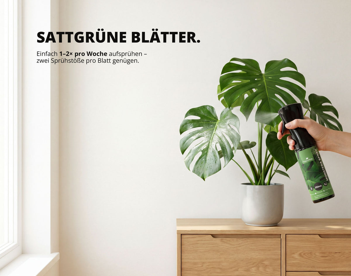 NatureHolic Monstera Spray - Blattspray Dünger