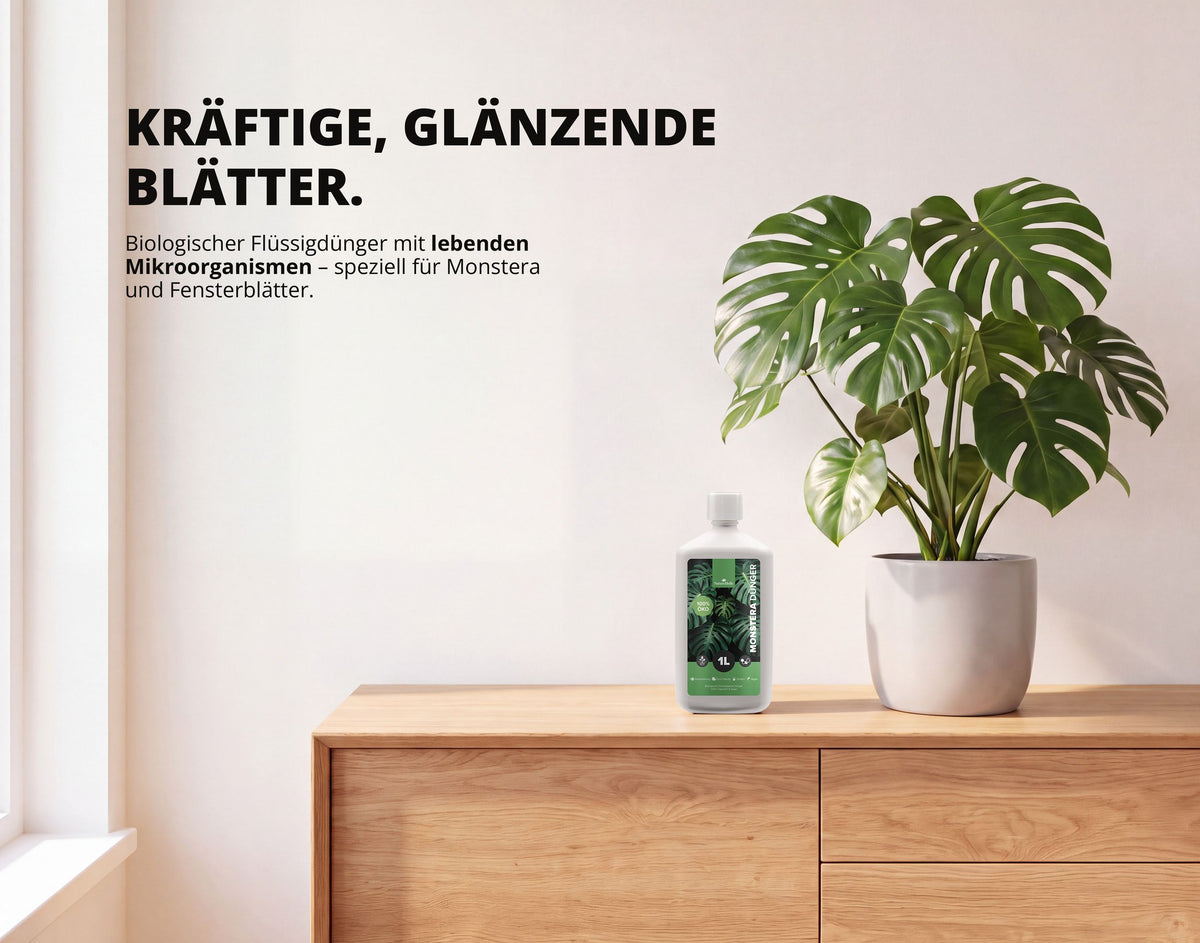 NatureHolic Monstera Dünger - Biologischer Zimmerpflanzendünger - 1000ml