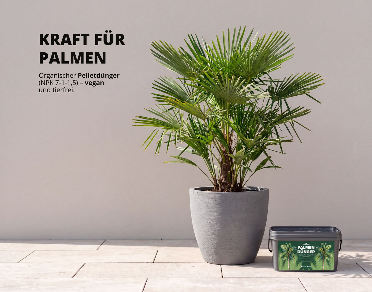 NatureHolic - Palmendünger - Pellet Volldünger für Grünpflanzen