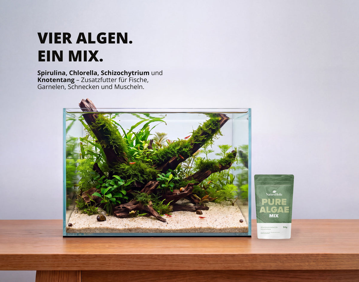 NatureHolic Pure Algae Mix - 50g Algenfutter