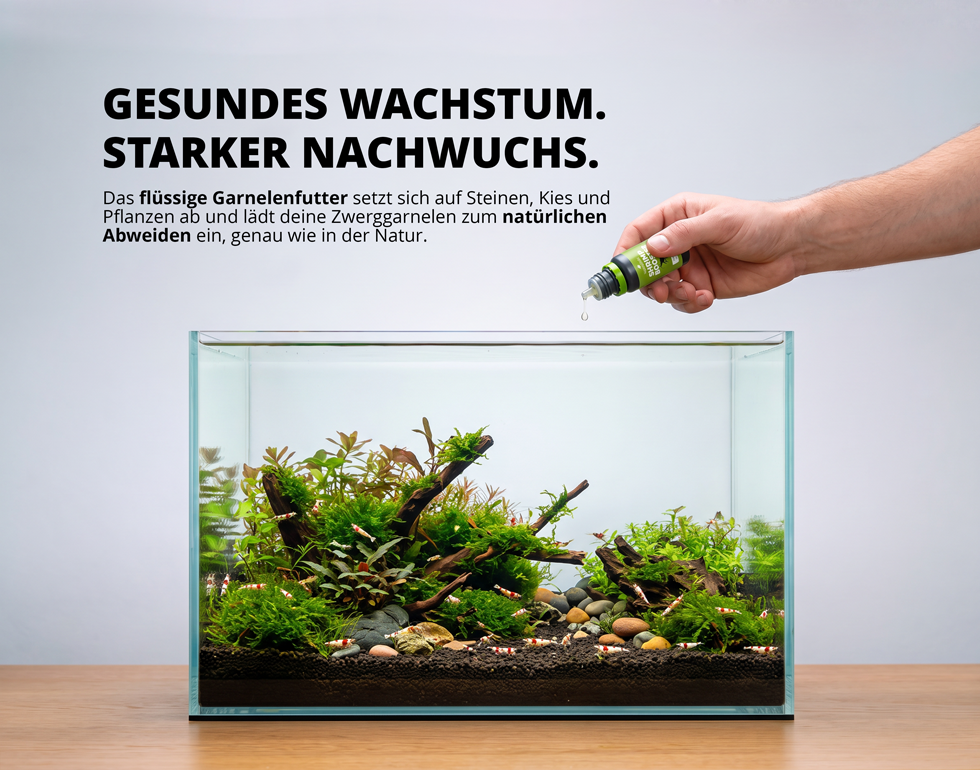 NatureHolic Shrimp BOOSTER - Garnelendünger - 30 ml