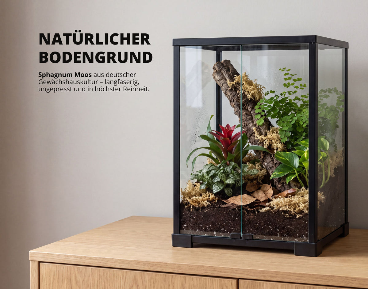 NatureHolic Sphagnum Moos - für Terrarien