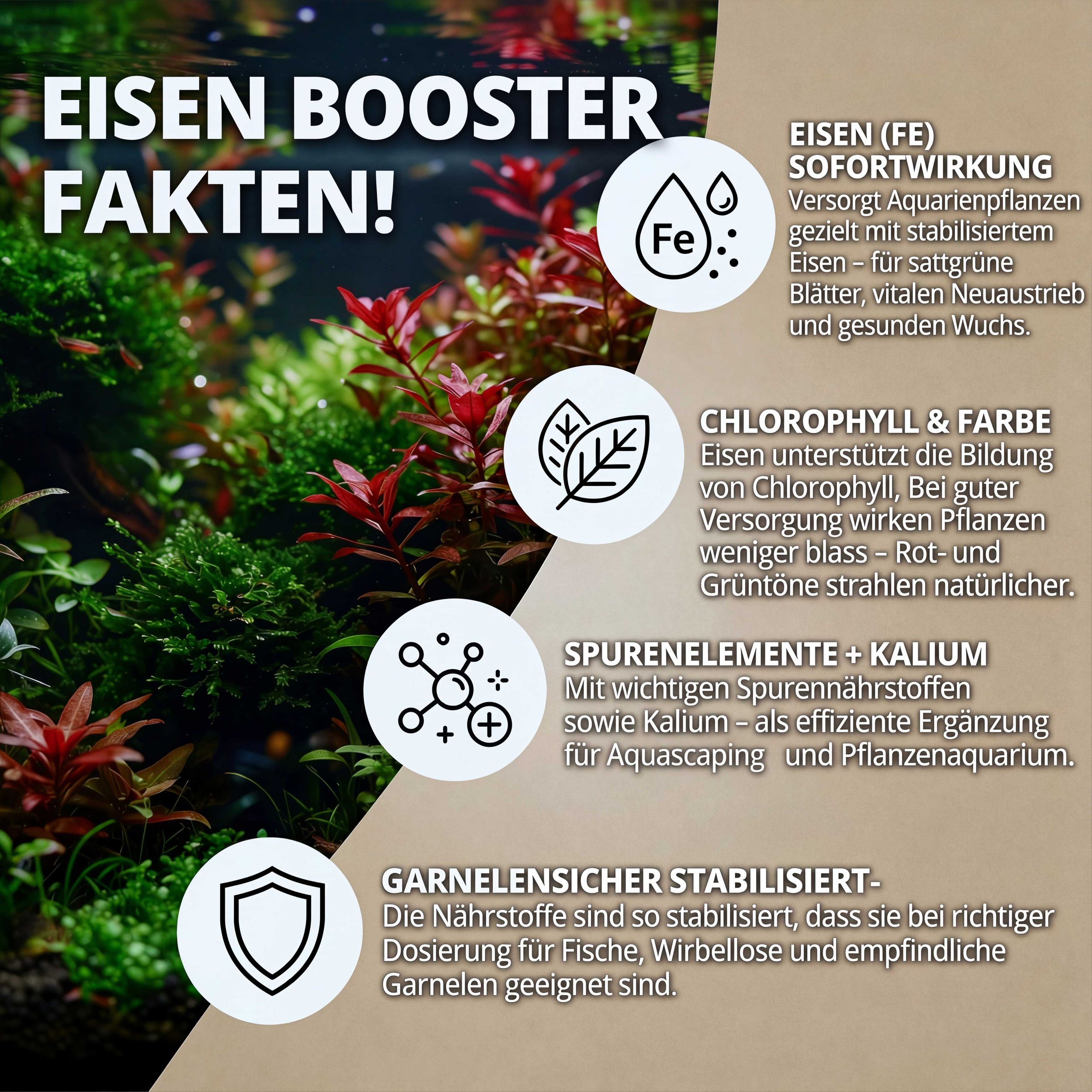 NatureHolic Eisendünger - flüssiger Eisen Aquariumdünger - Eisenboost!