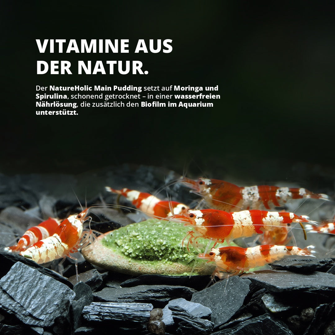 NatureHolic - Main Pudding Garnelenfutter - 50ml