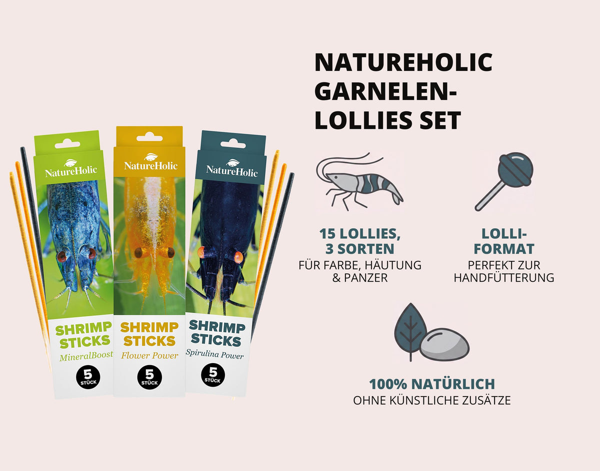 NatureHolic Garnelen Lollies Set - 15x Garnelen Lollis fürs Aquarium