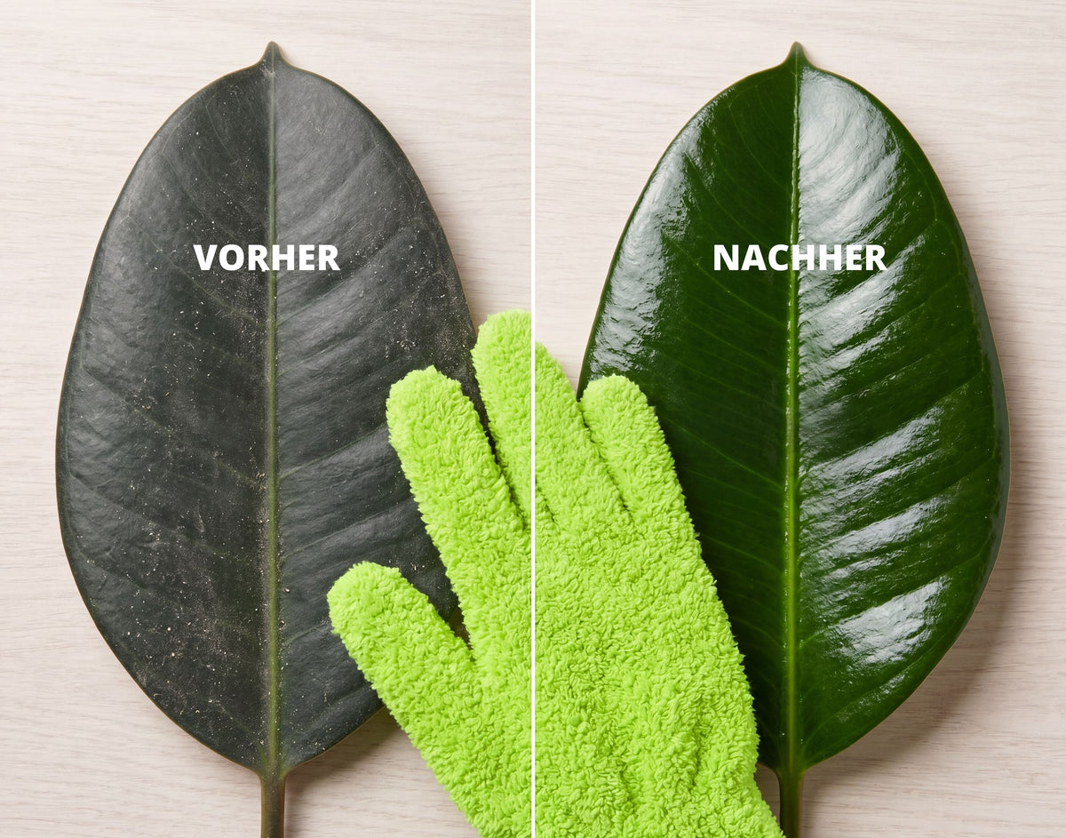 NatureHolic LeafGloves - Mikrofaser-Pflegehandschuhe für Zimmerpflanzen