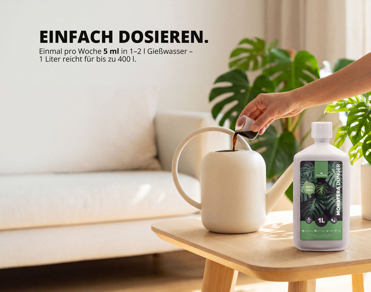 NatureHolic Monstera Dünger - Biologischer Zimmerpflanzendünger - 1000ml