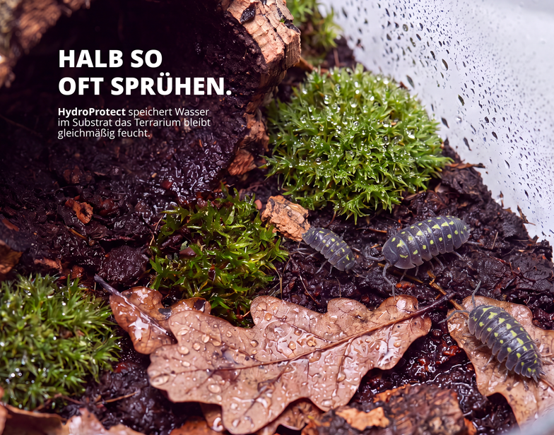 NatureHolic Assel 'Sorglos' Paket – Asselfeed, HydroProtect & TerrainBoost für Asseln im Terrarium