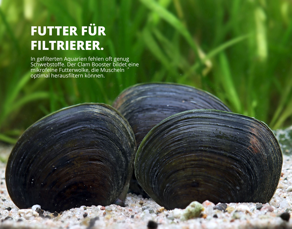 NatureHolic CLAM BOOSTER - Muscheldünger - 30 ml