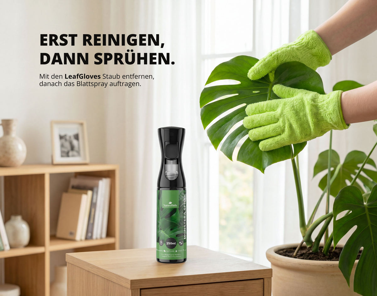 NatureHolic - Blattpflege-Set - Pflegehandschuhe + Blattspray 250 ml