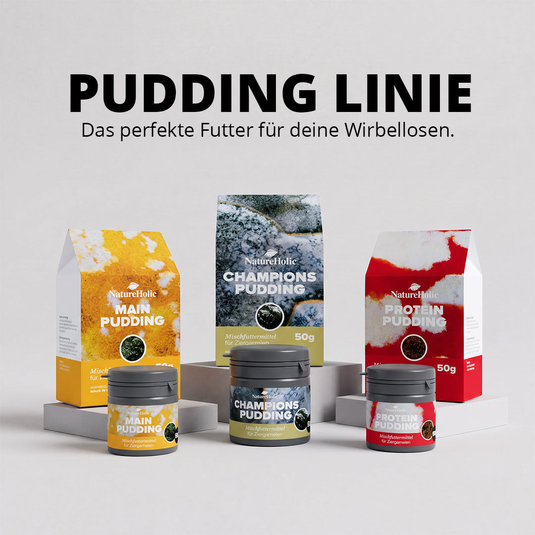 NatureHolic - Champions Pudding Garnelenfutter - 50ml