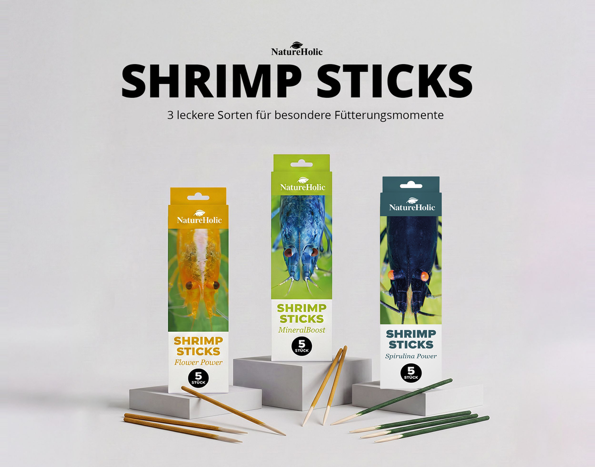 NatureHolic Garnelen Lollies Set - 15x Garnelen Lollis fürs Aquarium