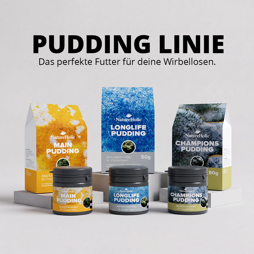 NatureHolic - Longlife Pudding Garnelenfutter - 50ml