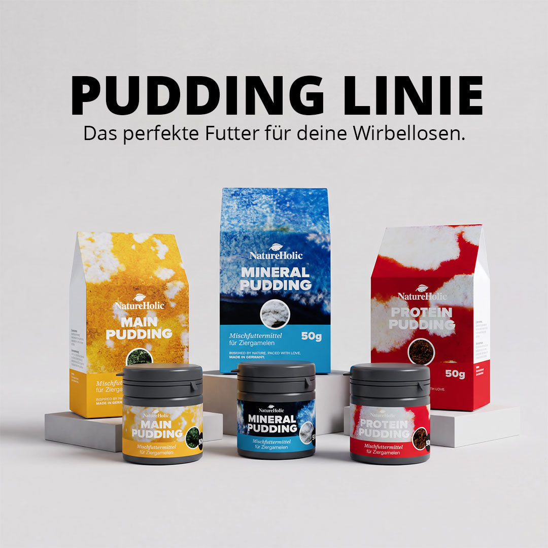 NatureHolic - Protein Pudding Garnelenfutter - 50ml