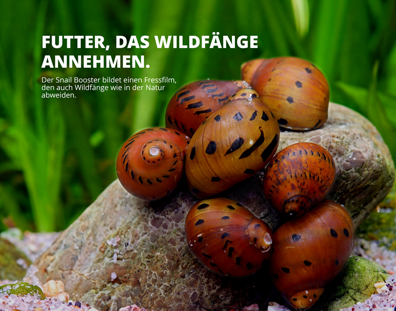 NatureHolic Snail BOOSTER - Schneckendünger - 30 ml