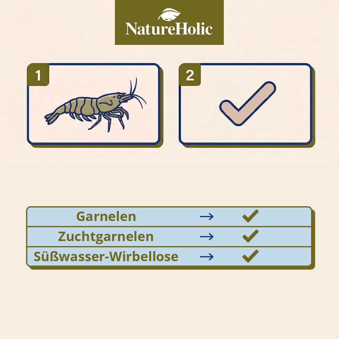 NatureHolic - Champions Pudding Garnelenfutter - 50ml