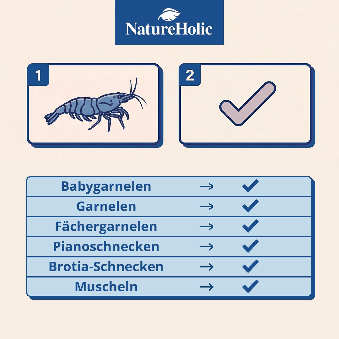 NatureHolic - Longlife Pudding Garnelenfutter - 50ml