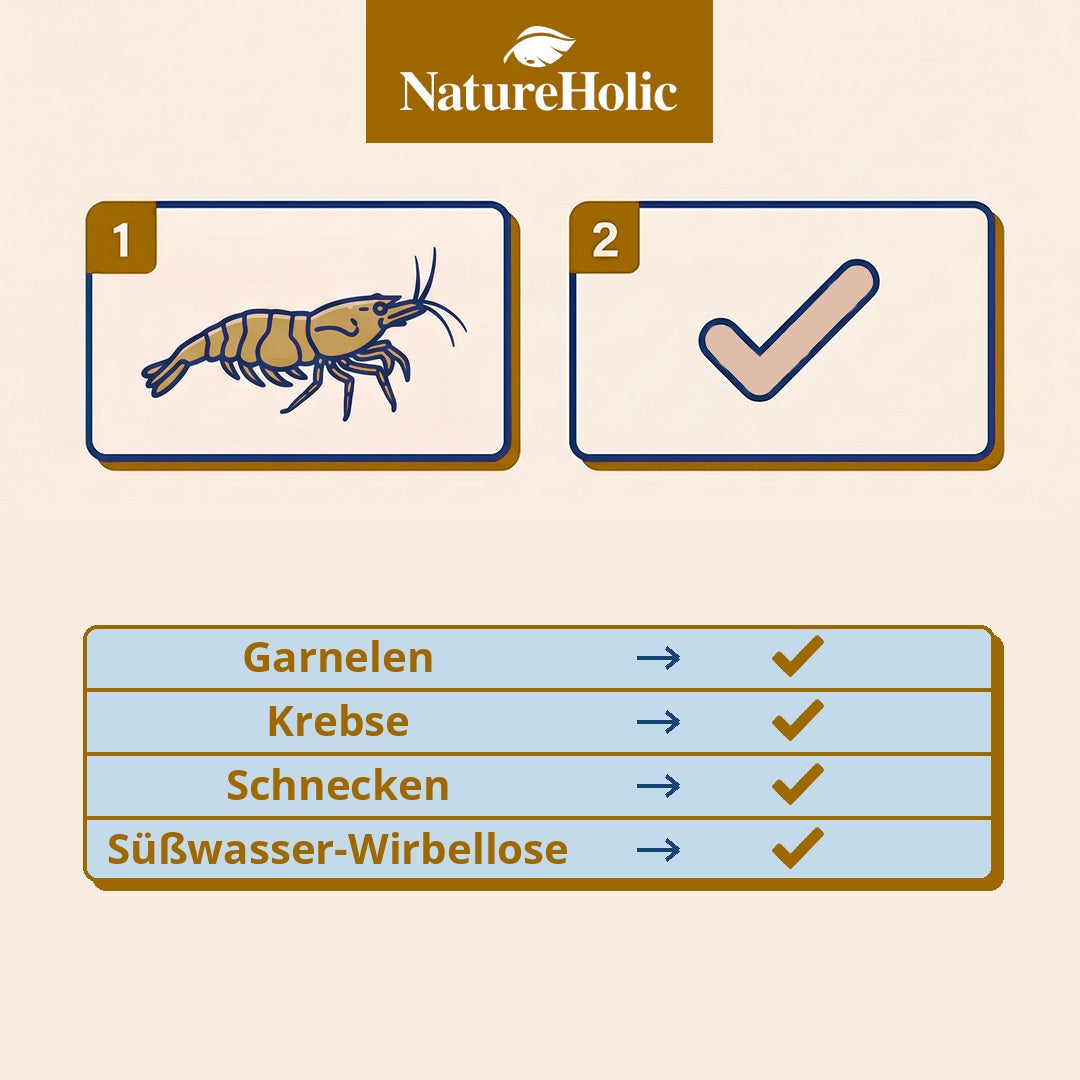 NatureHolic - Main Pudding Garnelenfutter - 50ml
