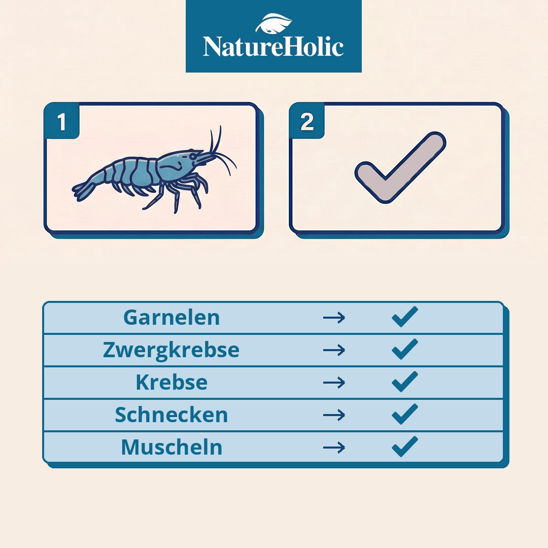 NatureHolic - Mineral Pudding Wirbellosenfutter - 50ml