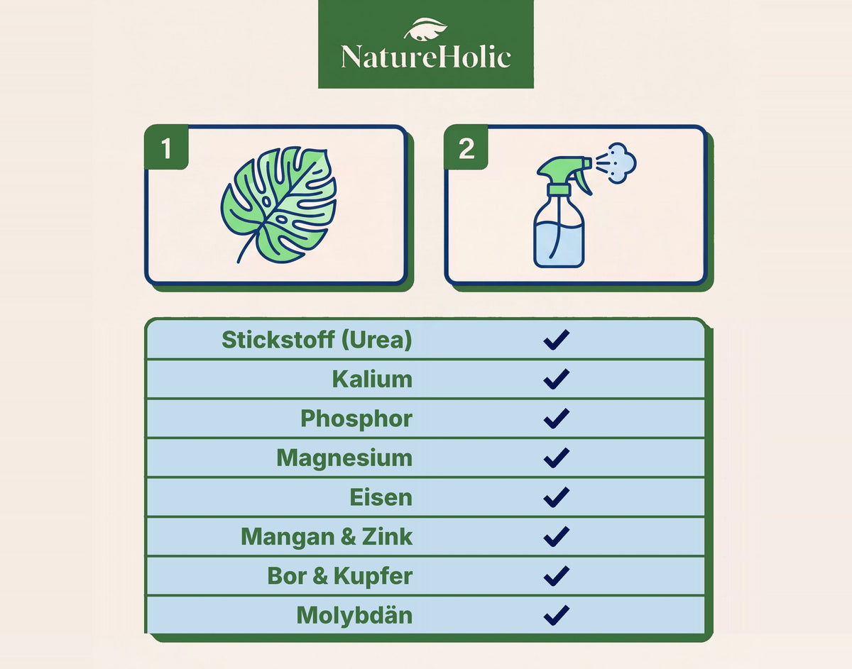 NatureHolic Monstera Spray - Blattspray Dünger