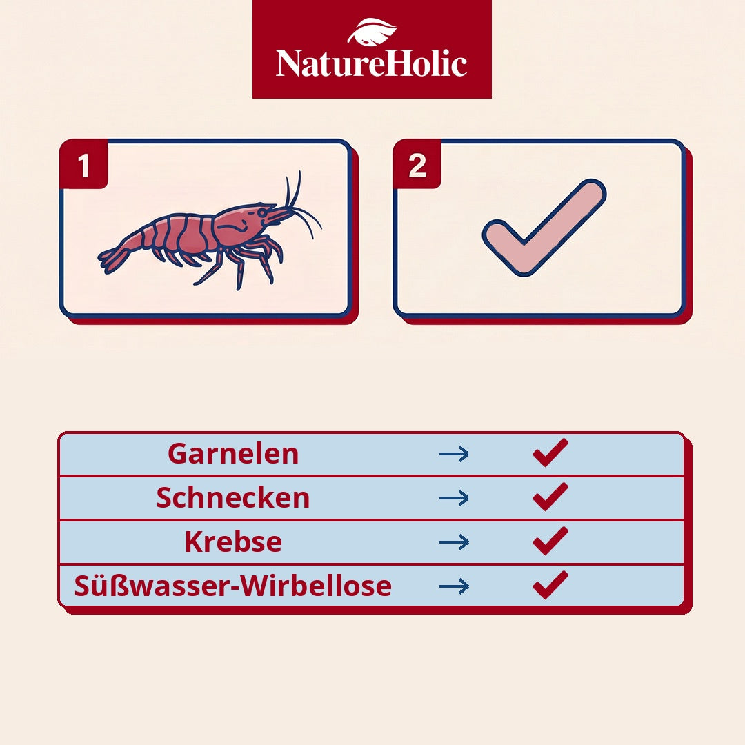 NatureHolic - Protein Pudding Garnelenfutter - 50ml