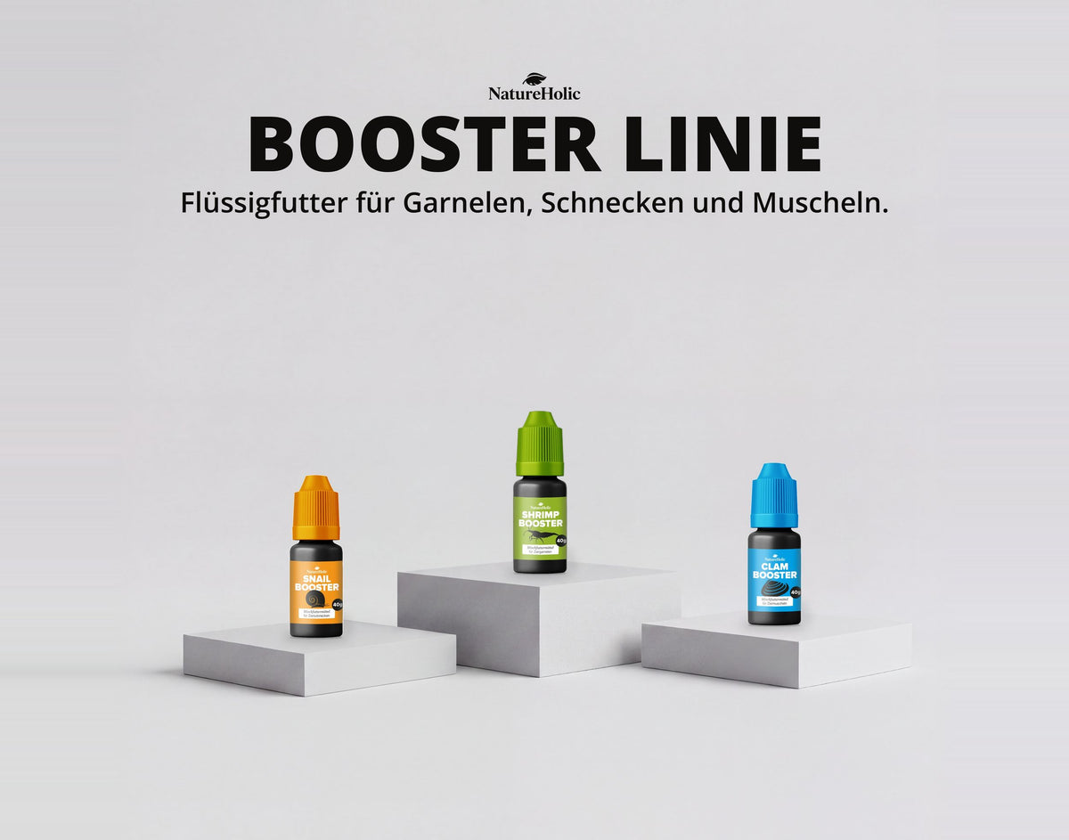 NatureHolic Shrimp BOOSTER - Garnelendünger - 30 ml