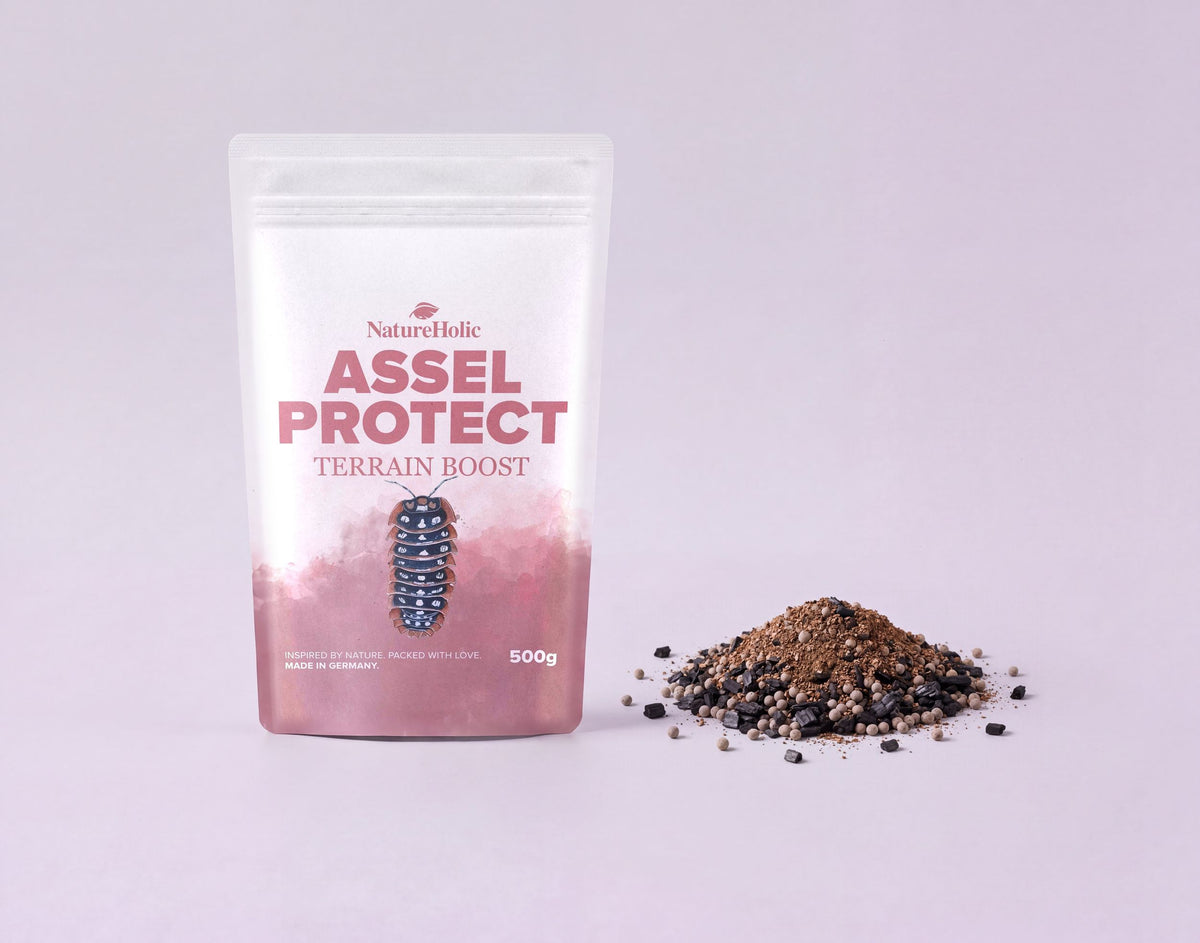 NatureHolic Assel 'Sorglos' Paket – Asselfeed, HydroProtect & TerrainBoost für Asseln im Terrarium