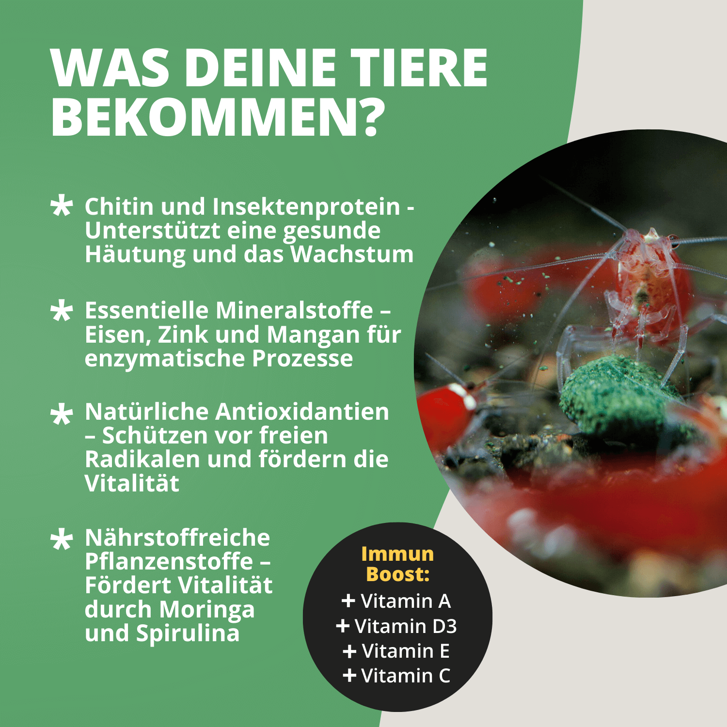 NatureHolic Mainfeed Garnelenfutter - 3 für 2
