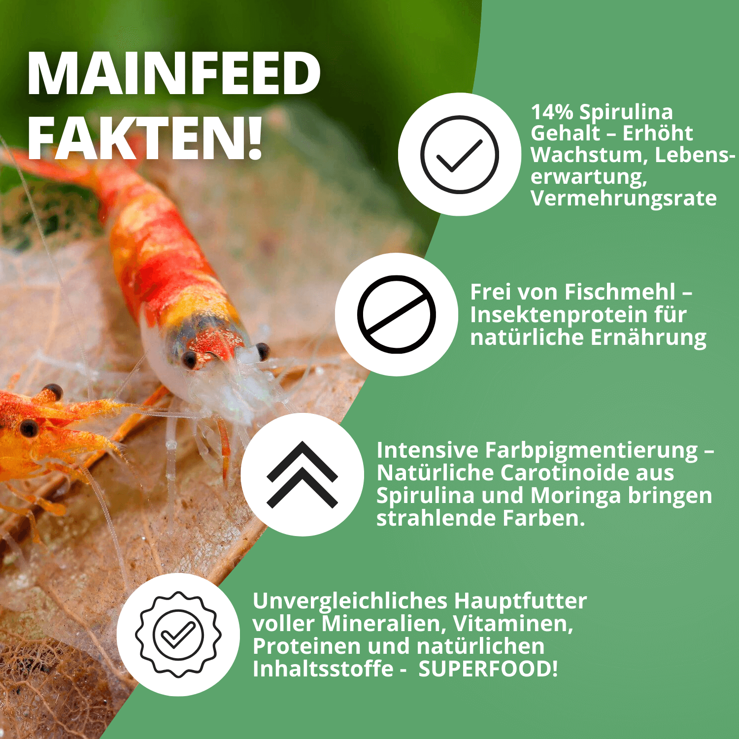 NatureHolic Mainfeed Garnelenfutter - 3 für 2
