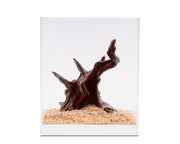 Mystical tree