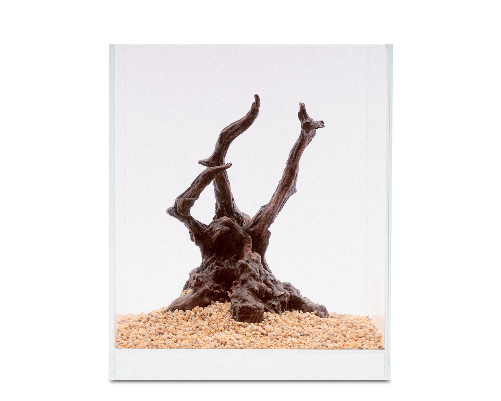 NatureHolic - Ready to Scape - Jungle Tree