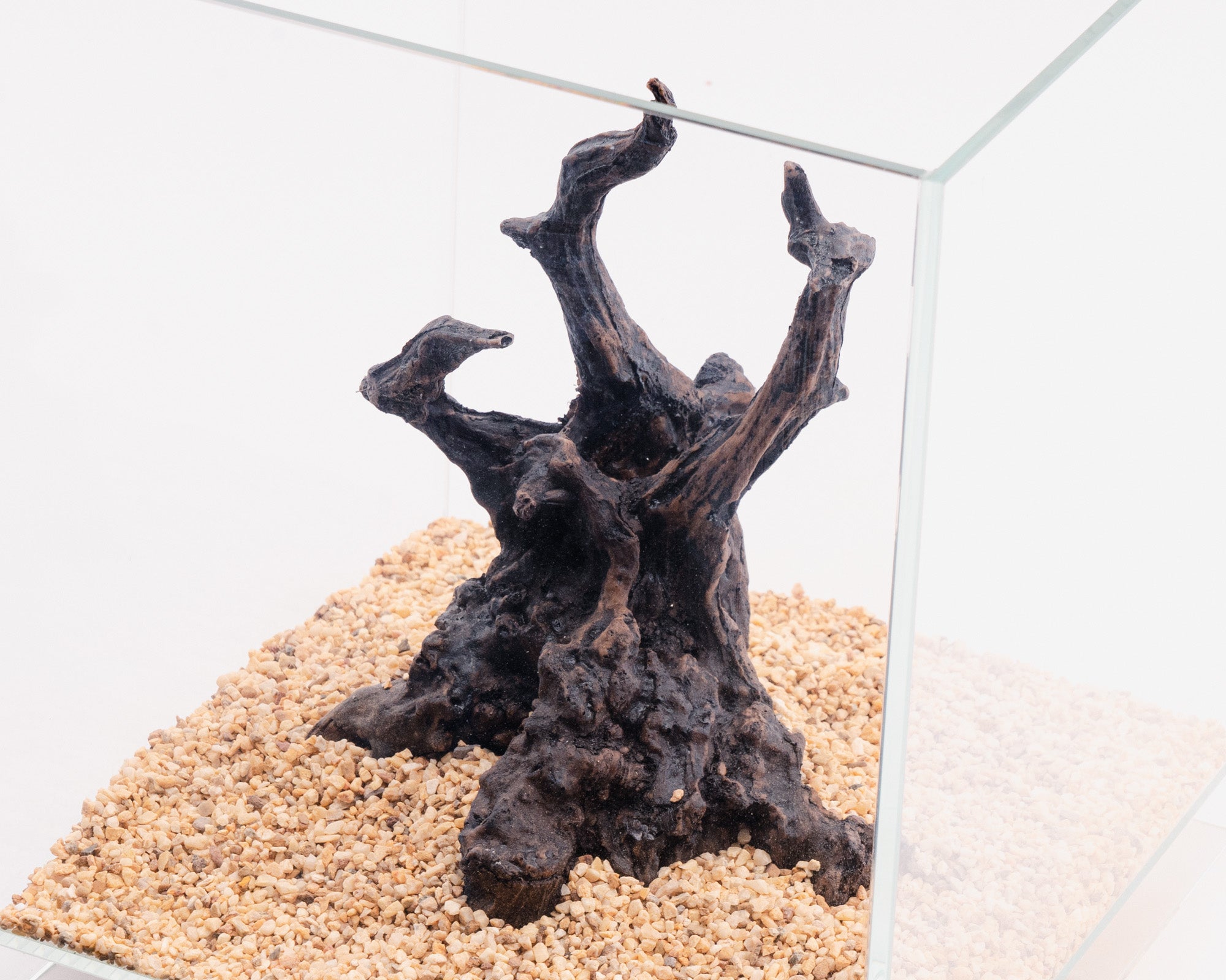 NatureHolic - Ready to Scape - Jungle Tree