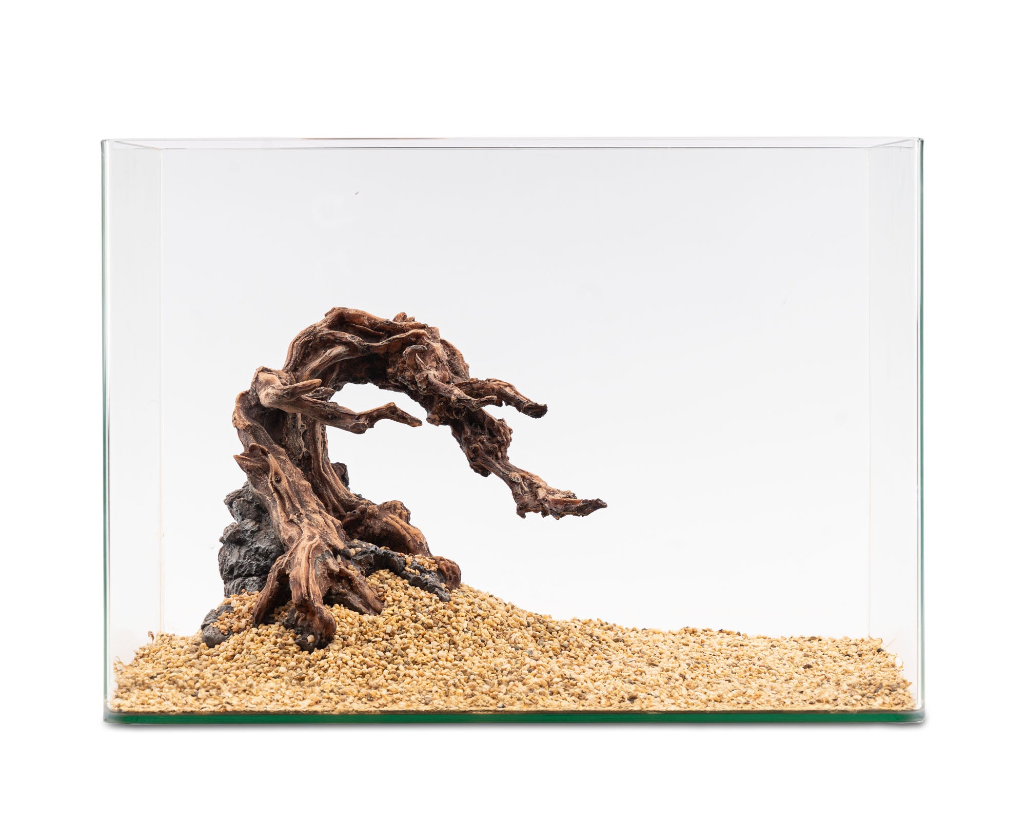NatureHolic - Ready to Scape - Dragon Root