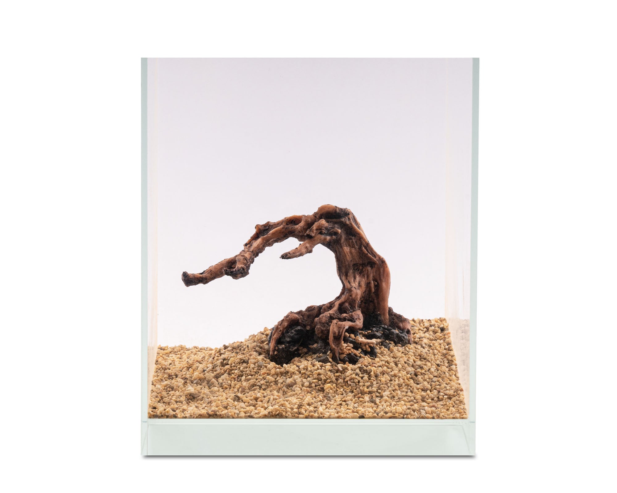 Half Moon wood