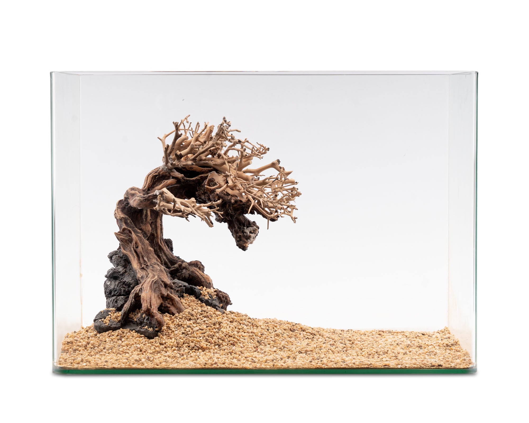 Thousand branch tree