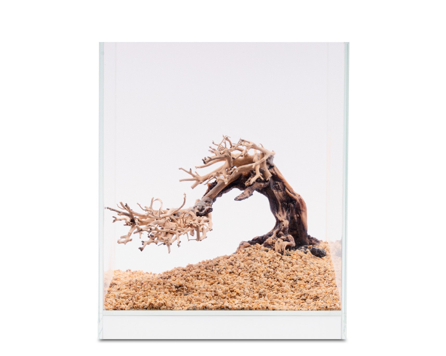 NatureHolic - Ready to Scape - Groot Root
