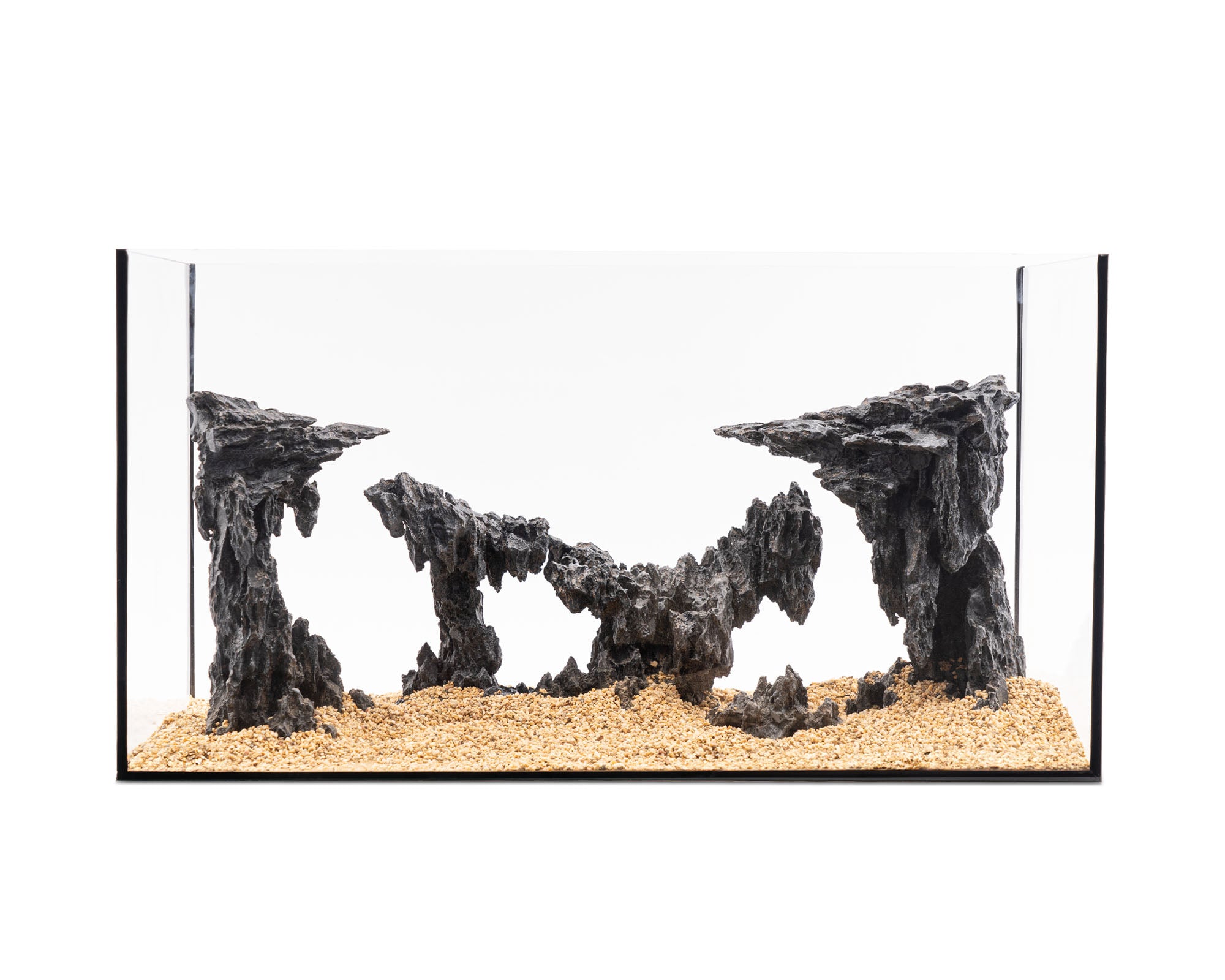 NatureHolic - Ready to Scape - The Twilight Saga