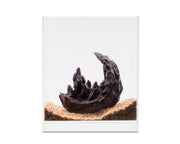 Moon Rock