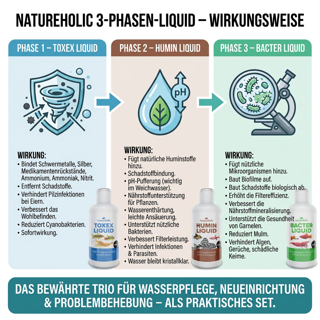 NatureHolic - 3 Phasen Liquid - Pflegeset 3 x 125ml