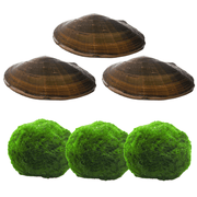 Natürlichers Teichfilter Set - 3x Japanischer Marimo Algenball & 3x Teichmuschel