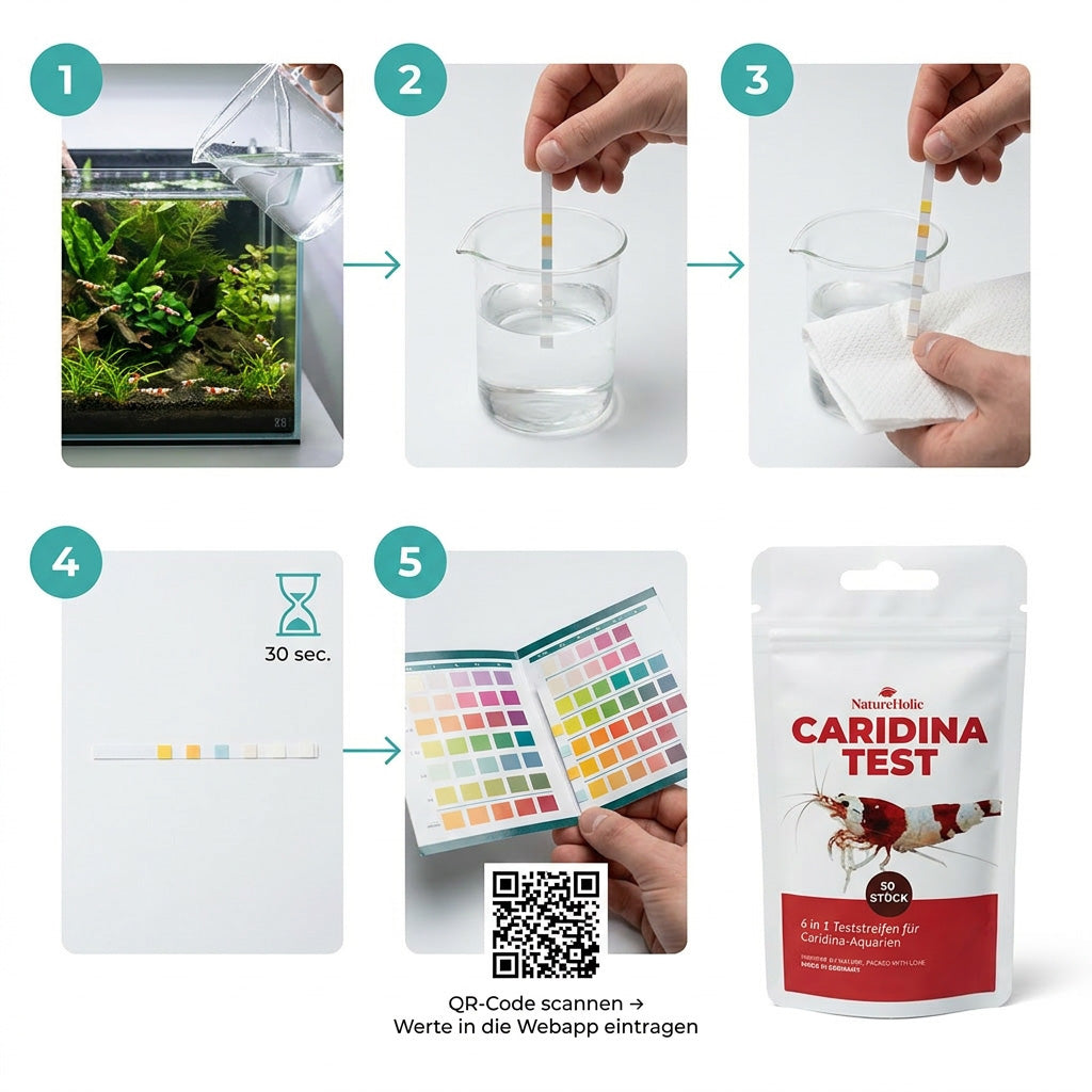 NatureHolic Caridina Test Kit –  Wassertest für Weichwasser-Garnelen inkl. App-Auswertung