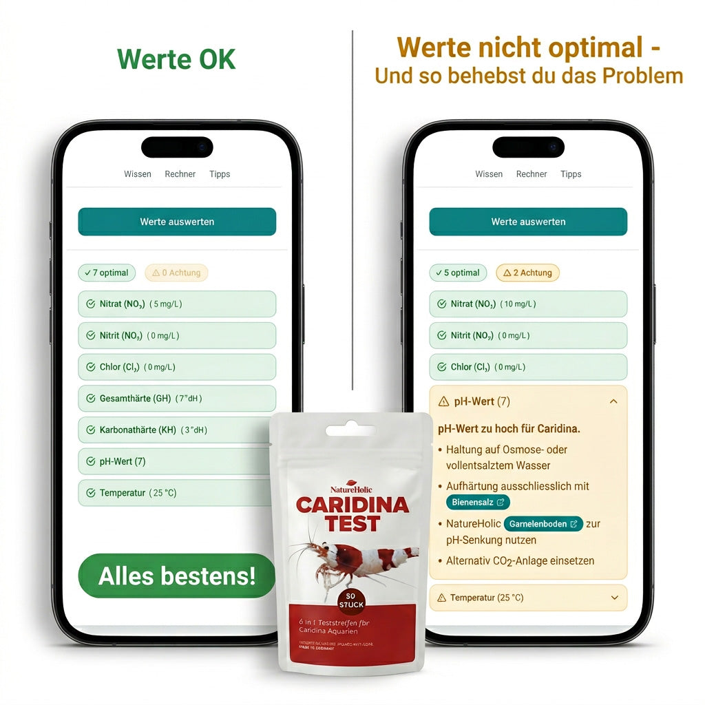 NatureHolic Caridina Test Kit –  Wassertest für Weichwasser-Garnelen inkl. App-Auswertung