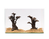 NatureHolic - Stone Bonsai - Shizukana