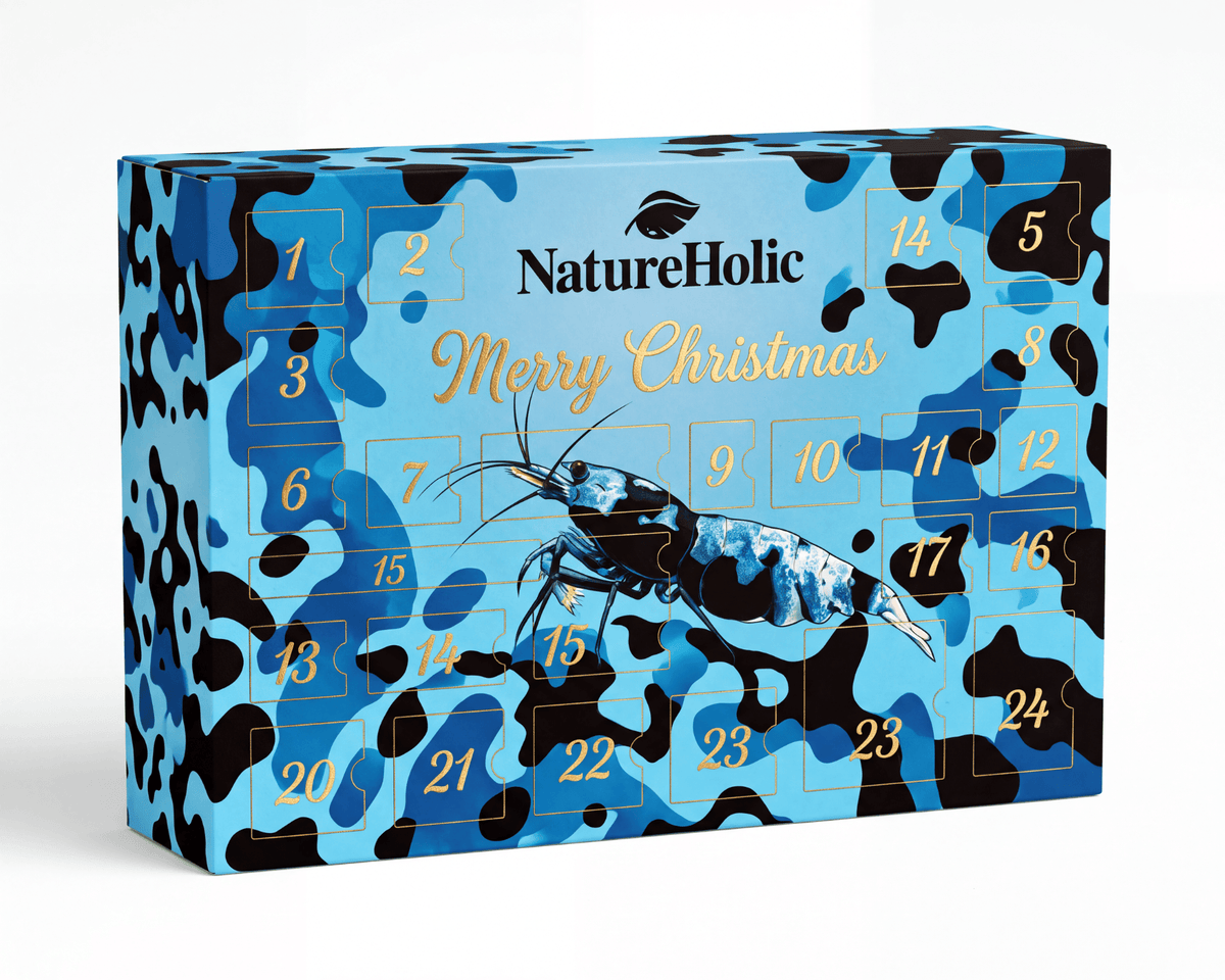 NatureHolic - Adventskalender ,,Blue shrimp'' Edition 2026 (PreSale)