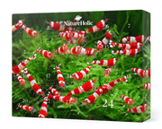 NatureHolic - Adventskalender "Red Bee Shrimp" Edition 2026 (PreSale)