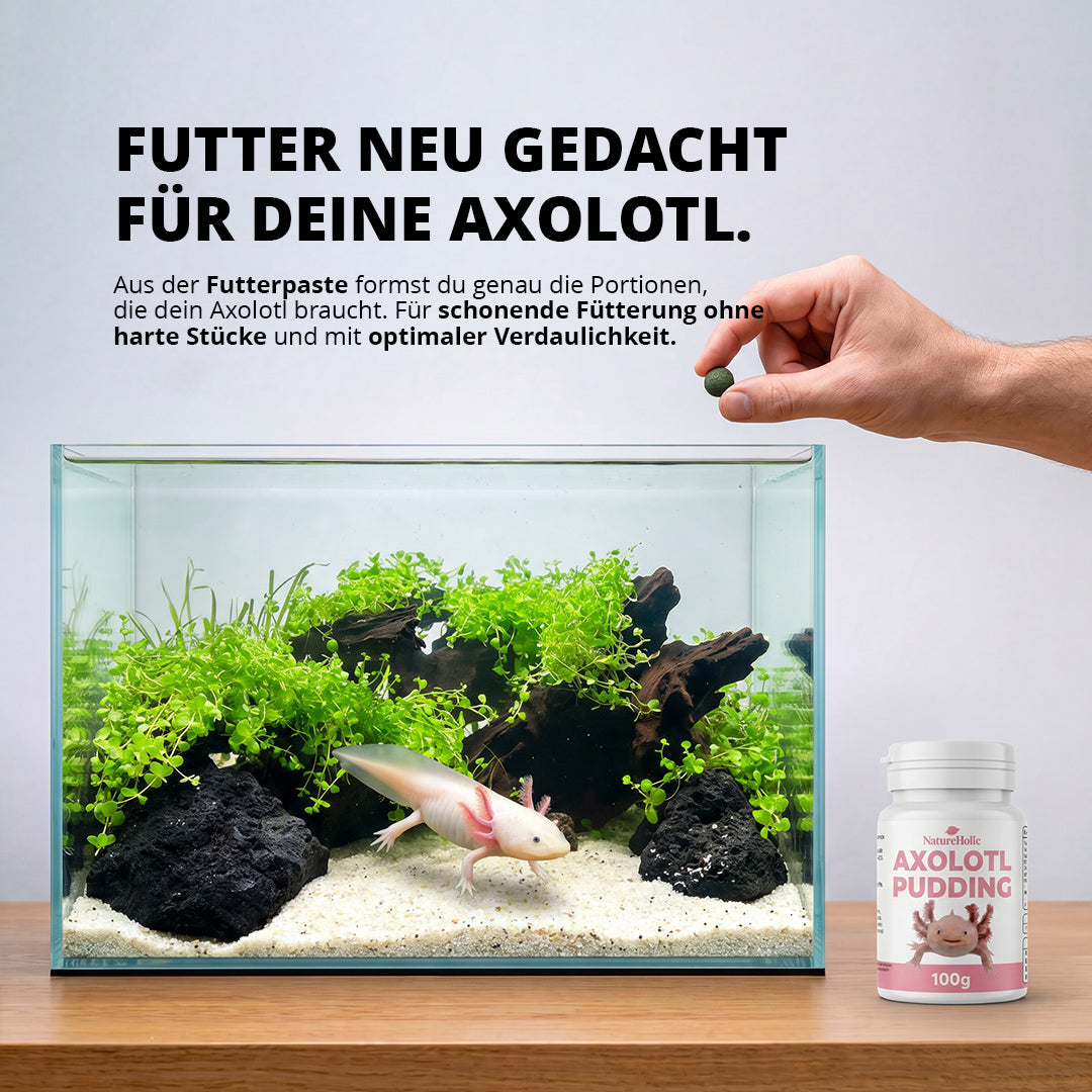NatureHolic Axolotl Pudding – Formbare Futterpaste für Axolotl